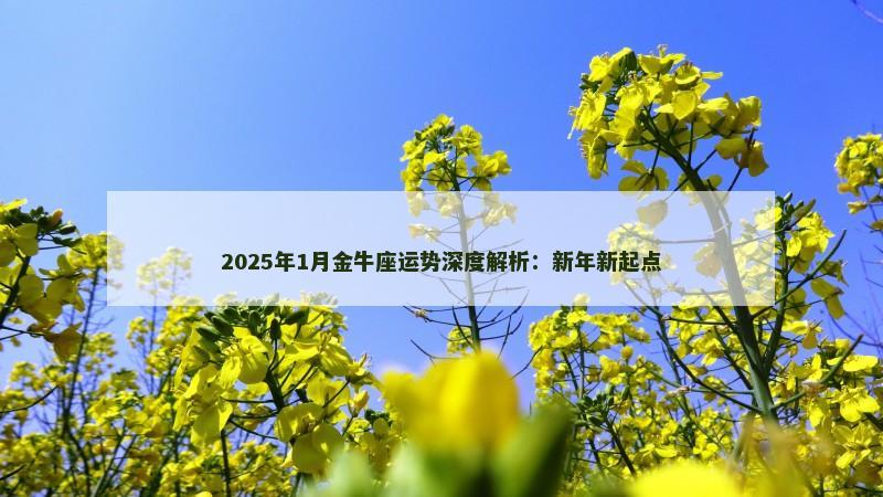 2025年1月金牛座运势深度解析：新年新起点