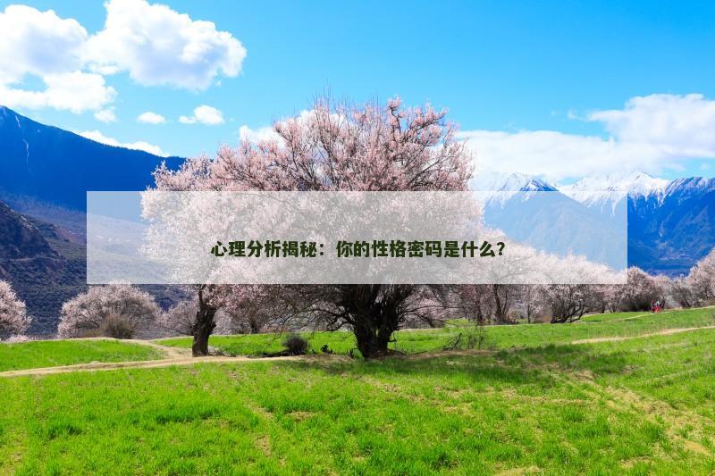 心理分析揭秘：你的性格密码是什么？