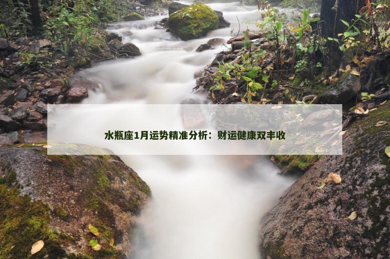 水瓶座1月运势精准分析：财运健康双丰收