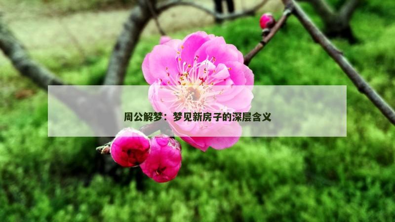 周公解梦：梦见新房子的深层含义