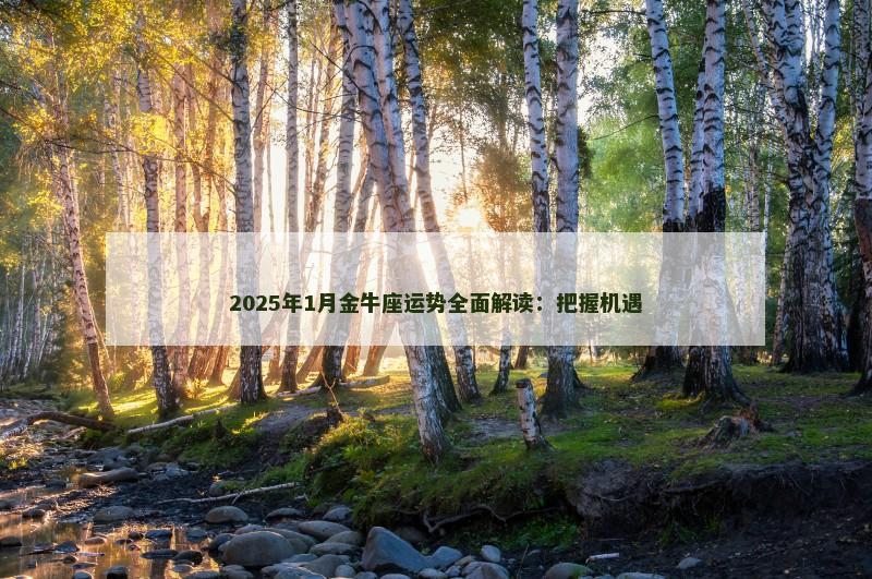 2025年1月金牛座运势全面解读：把握机遇