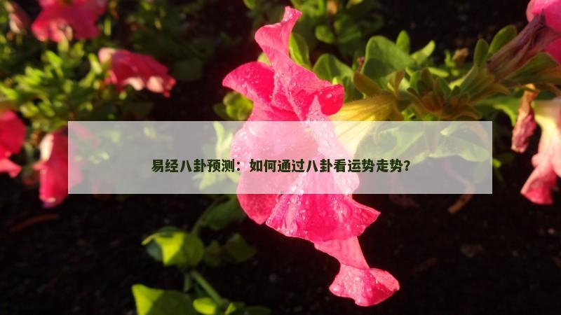 易经八卦预测：如何通过八卦看运势走势？