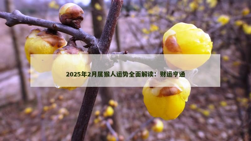 2025年2月属猴人运势全面解读：财运亨通