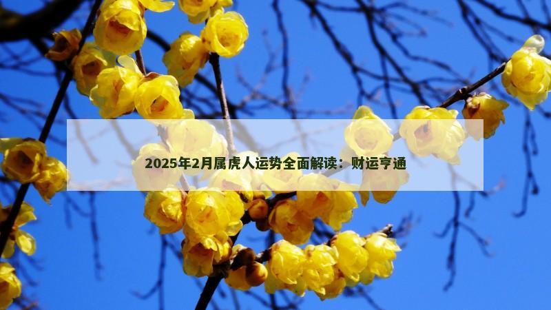 2025年2月属虎人运势全面解读：财运亨通