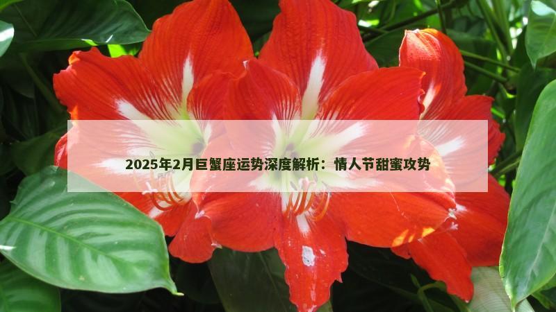 2025年2月巨蟹座运势深度解析：情人节甜蜜攻势