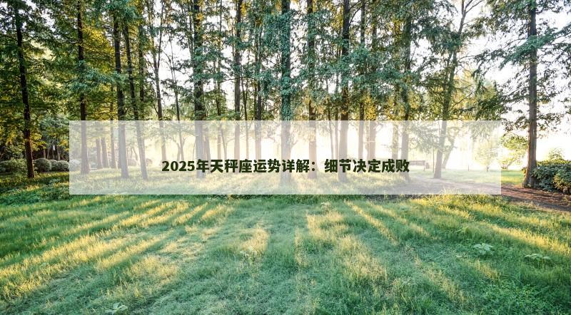 2025年天秤座运势详解：细节决定成败