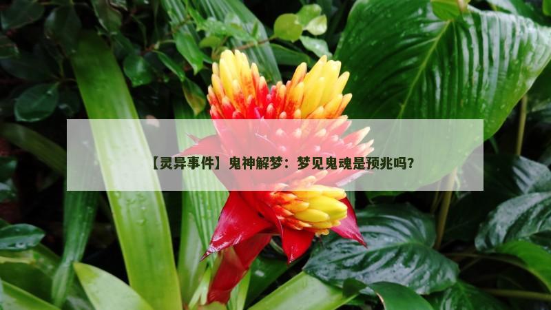 【灵异事件】鬼神解梦：梦见鬼魂是预兆吗？