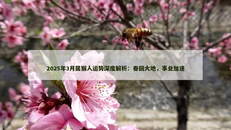 2025年3月属猴人运势深度解析：春回大地，事业加速