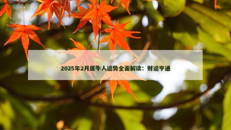 2025年2月属牛人运势全面解读：财运亨通