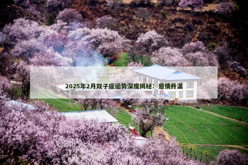 2025年2月双子座运势深度揭秘：感情升温