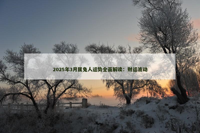 2025年3月属兔人运势全面解读：财运波动