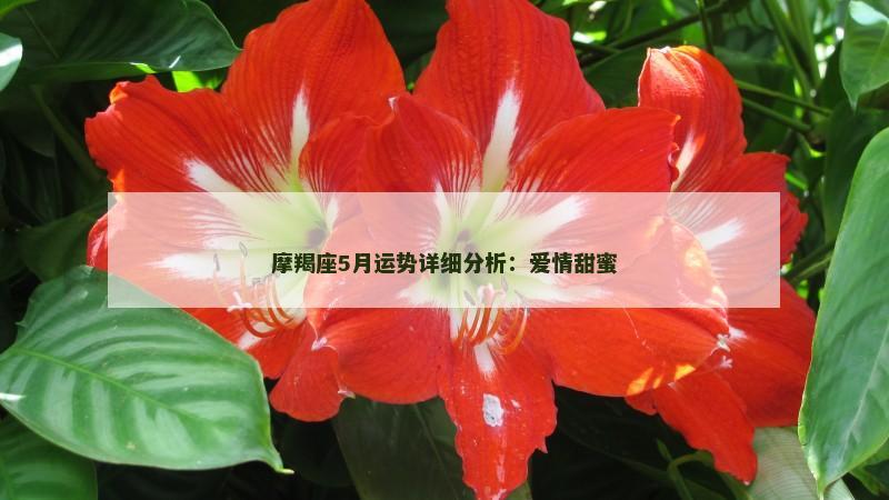 摩羯座5月运势详细分析：爱情甜蜜