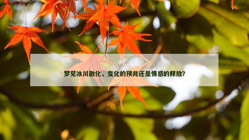 梦见冰川融化，变化的预兆还是情感的释放？