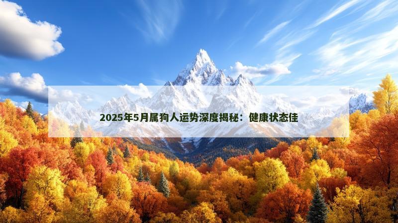 2025年5月属狗人运势深度揭秘：健康状态佳