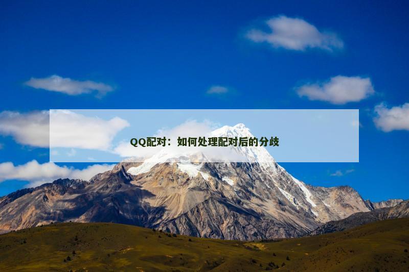 QQ配对：如何处理配对后的分歧