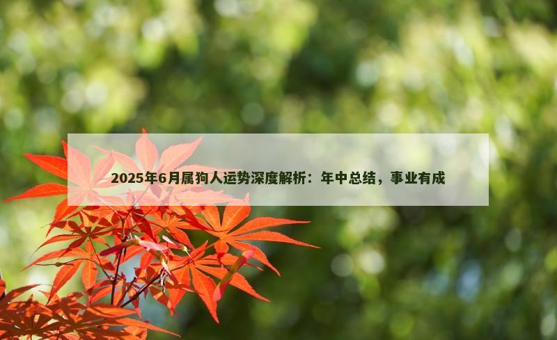 2025年6月属狗人运势深度解析：年中总结，事业有成