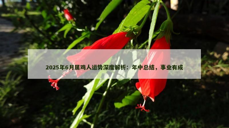 2025年6月属鸡人运势深度解析：年中总结，事业有成