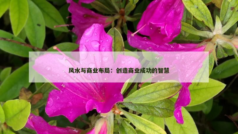 风水与商业布局：创造商业成功的智慧