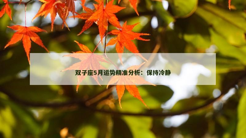 双子座5月运势精准分析：保持冷静