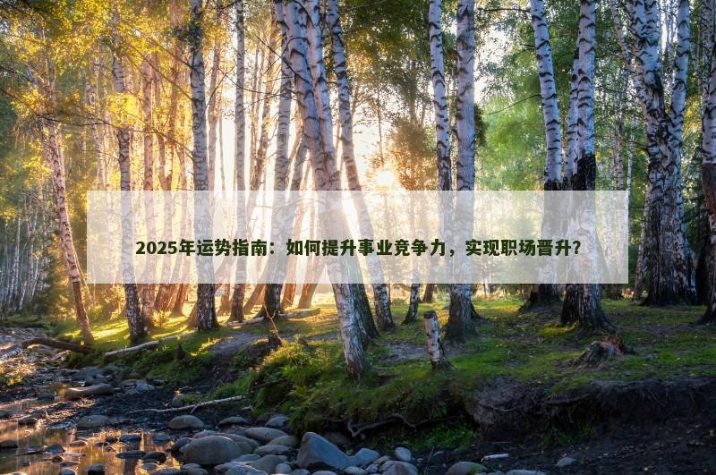 2025年运势指南：如何提升事业竞争力，实现职场晋升？