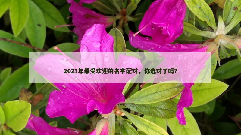 2023年最受欢迎的名字配对，你选对了吗？