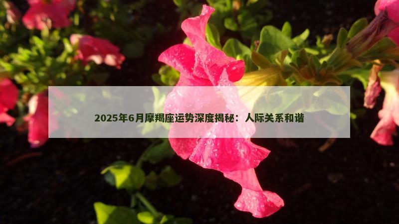 2025年6月摩羯座运势深度揭秘：人际关系和谐