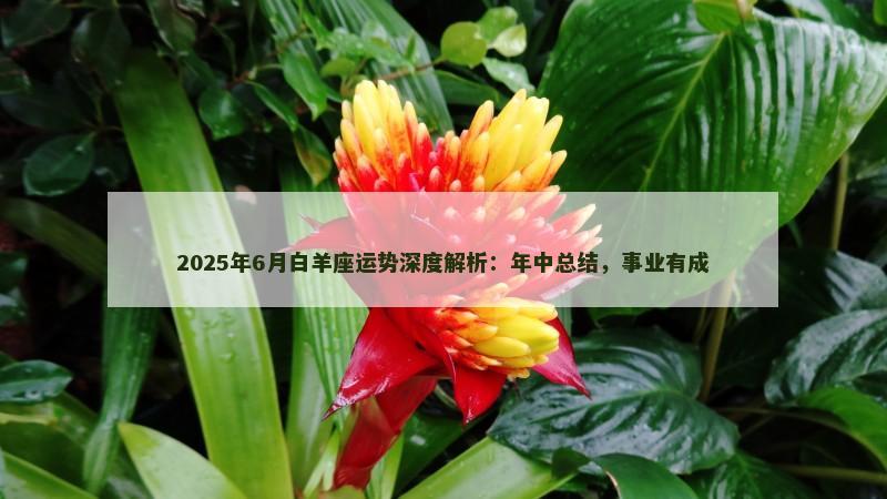 2025年6月白羊座运势深度解析：年中总结，事业有成