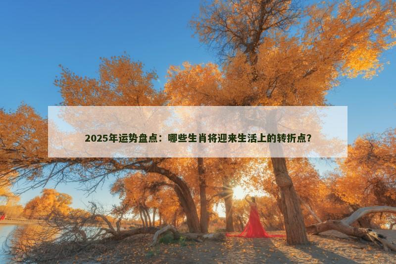 2025年运势盘点：哪些生肖将迎来生活上的转折点？