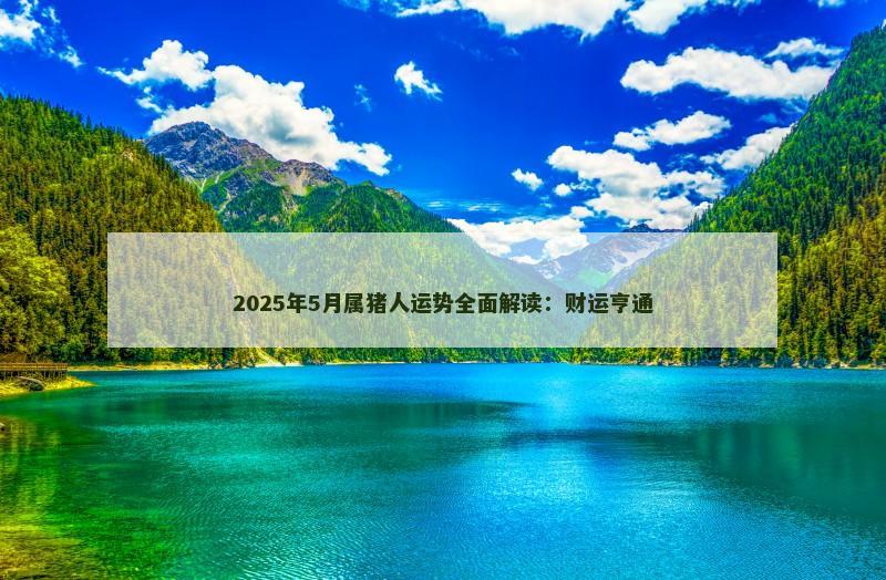 2025年5月属猪人运势全面解读：财运亨通