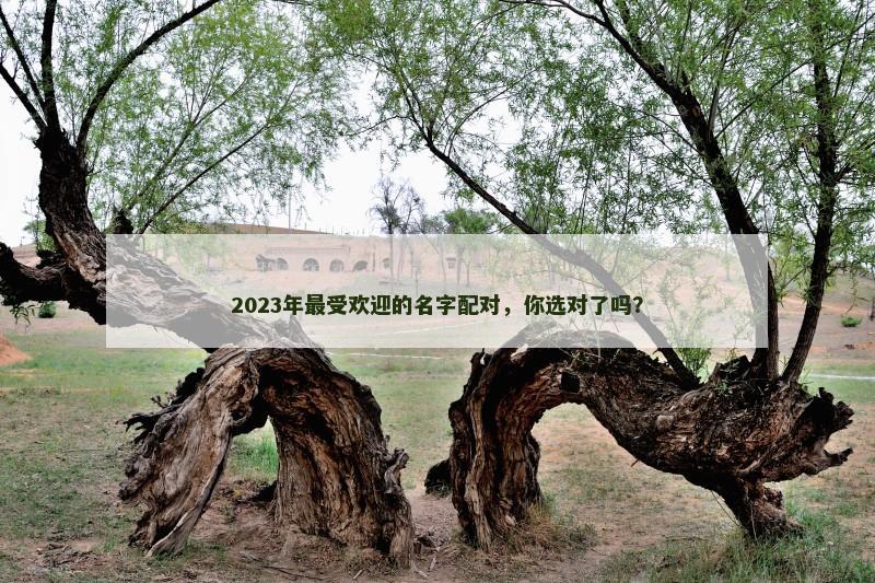 2023年最受欢迎的名字配对，你选对了吗？