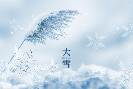 2025年大雪节气时间是几月几号_具体从几点几分几秒开始